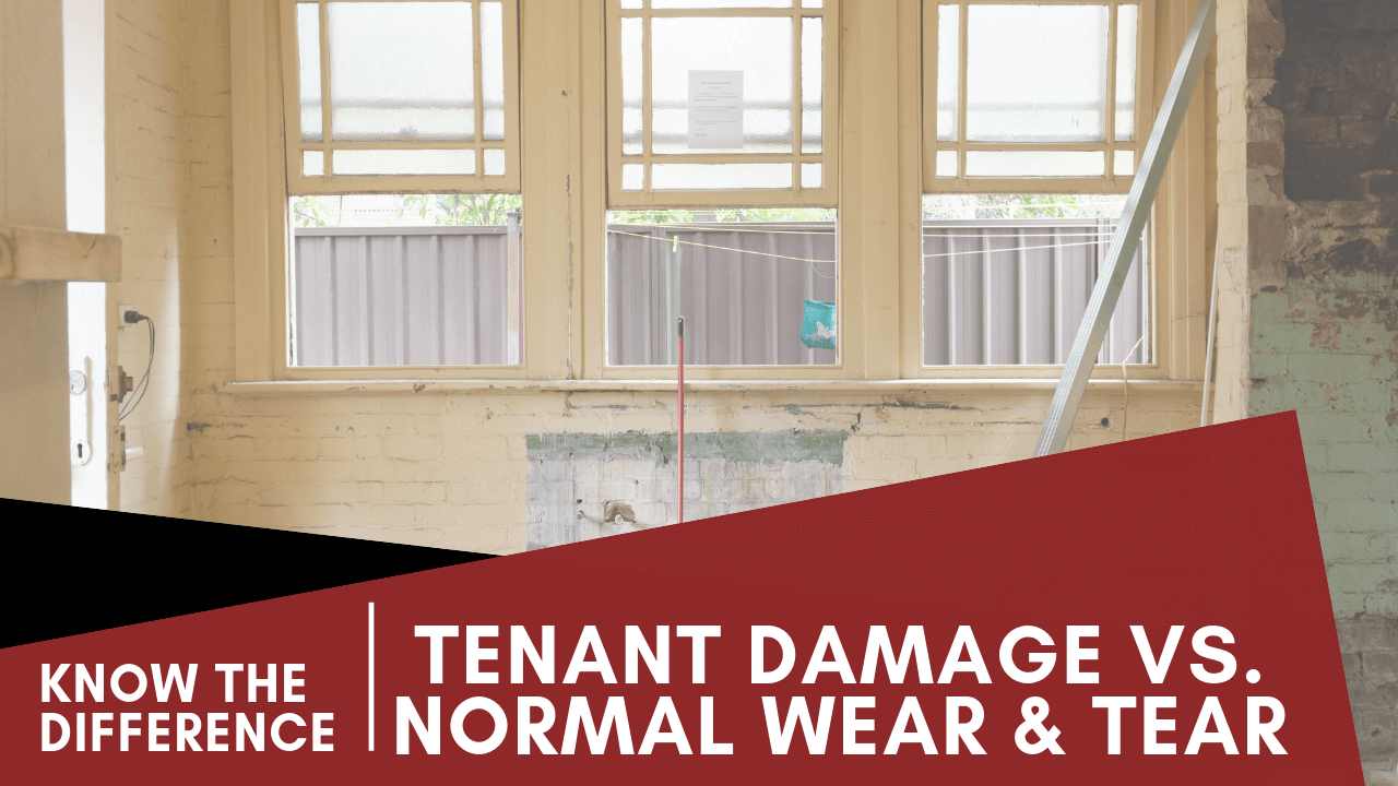 Tenant Damage vs. Normal Wear and Tear: Know the Difference in Lakewood, CO
